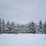 Nice trees with beautiful peaks behind